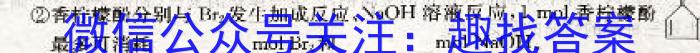 山西省太原37中2024-2023学年七年级阶段练习（三）化学