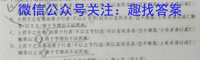 五市十校/三湘名校/湖湘名校·2023年上学期高一期末考试语文