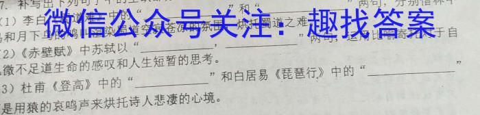 2023年普通高等学校招生全国统一模拟考试(5月E2)语文