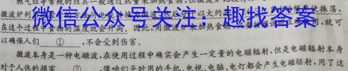 文博志鸿 2023年河南省普通高中招生考试模拟试卷(冲刺三)语文