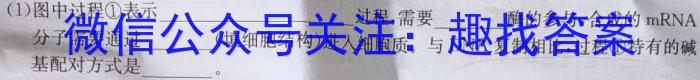 辽宁省名校联盟2023年高二6月份联考考试生物