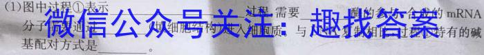 安徽省2023年中考导航总复习三轮模拟（三）生物