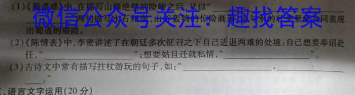 文博志鸿 2023年河南省普通高中招生考试模拟试卷(信息卷二)语文