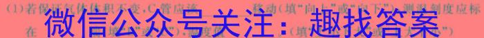 安徽省合肥市庐江县2024/2023学年度七年级第二学期期末教学质量抽测q物理