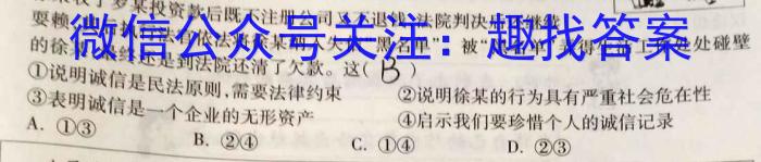 安徽省2023年中考导航总复习三轮模拟（一）政治~