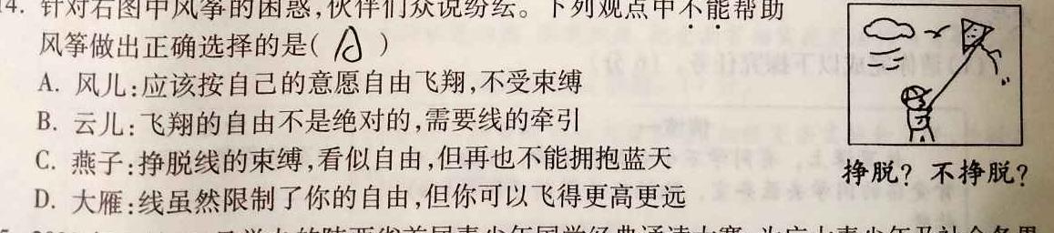 2023年普通高等学校招生全国统一考试(银川一中第四次模拟考试)政治y