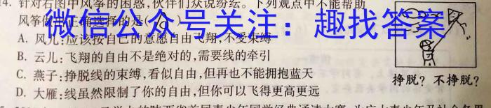 河北省邢台市2024~2023学年高一(下)期末测试(23-549A)&政治
