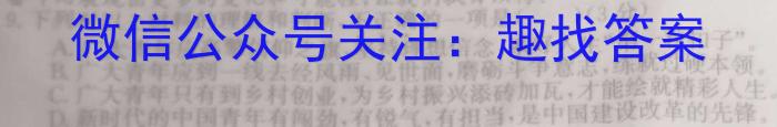 2023年高三学业质量检测 新高考模拟(二)语文