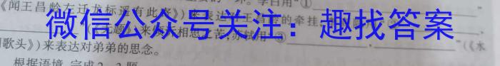 天一大联考 2023年河南省普通高中招生考试考前模拟试卷语文