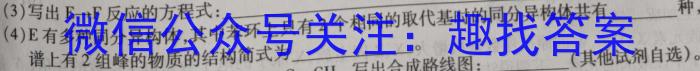 3江西省南昌二十八中教育集团2023-2024学年八年级暑期开学阶段性测试试卷化学