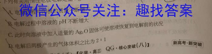 3江淮十校2024届高三第一次联考（8月）生物试卷及参考答案化学