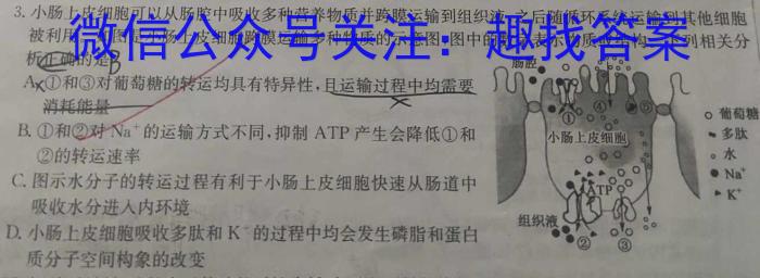 ［吉林大联考］吉林省2024届高三9月联考生物试卷答案