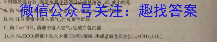 q陕西省西安市2023-2024学年第一学期初三年级摸底练习化学