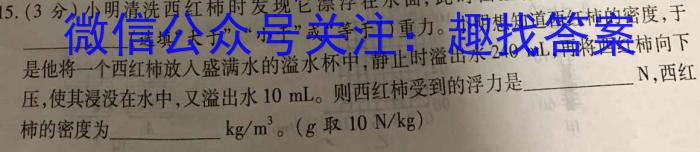 百师联盟2024届高三开学摸底联考（新教材90分钟）q物理