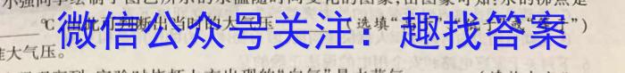 2024届湖南省高三入学摸底联考(8月)z物理