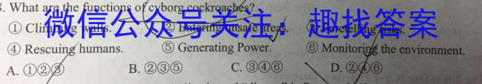 吉林省"通化优质高中联盟”2023~2024学年度高二上学期期中考试(24-103B)英语试题