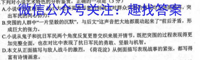 安徽省2023-2024九年级上学期阶段性练习(二)语文