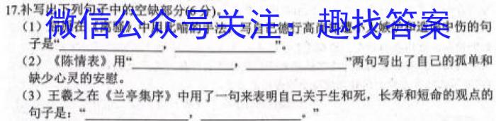 衡中同卷·2023-2024学年度上学期高三年级二调考试/语文