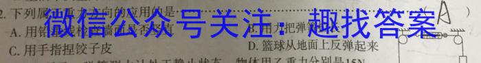 ［开学考］九师联盟2023-2024学年高三教学质量检测（XLG）l物理