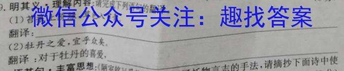 内蒙古包头2023-2024学年度第一学期高三年级调研考试语文