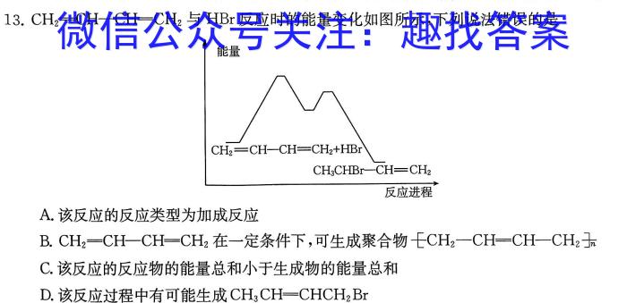 q2024届全国大联考高三第一次联考 1LK·(新高考)化学