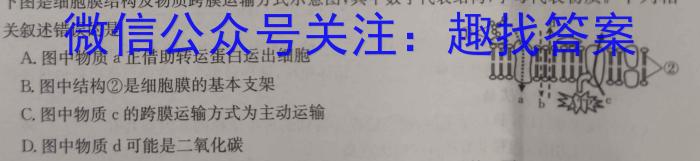 江西省上进教育2023-2024学年高二开学大联考生物试卷答案