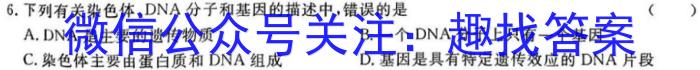［安徽大联考］安徽省2024届高三年级8月联考生物试卷答案