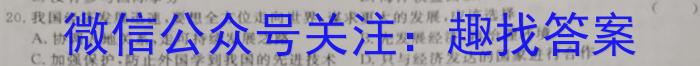 安徽省2024届九年级阶段评估1L R(一)政治~