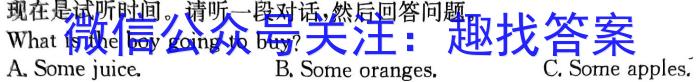 2024届全国高考分科调研模拟测试卷 XGK(三)英语