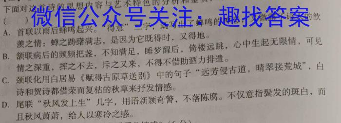 2023-2024学年安徽省九年级教学质量检测（一）语文