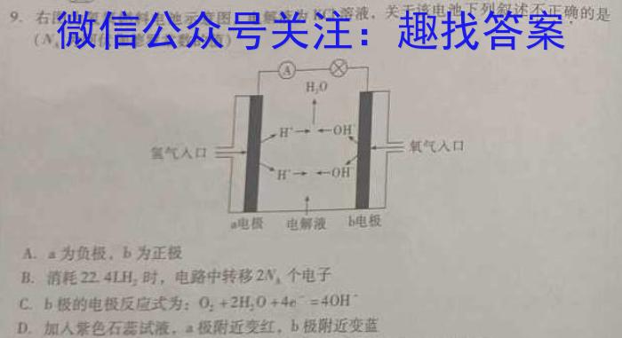 q2024届安徽省高三摸底大联考化学