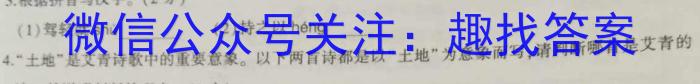 江西省2024届高三第二次联考（10月）语文