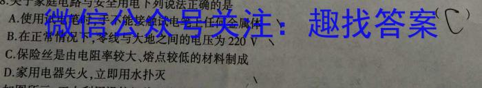 2024届安徽T12教育九年级第一次调研模拟卷物理`