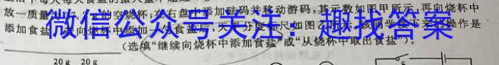 九师联盟 2024届8月高三开学考(X)l物理