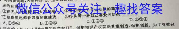 安徽省2024届九年级阶段评估（一）【1LR】政治~