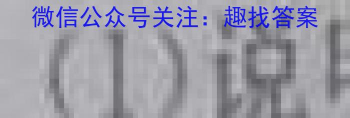 2024届安徽T12教育九年级第一次调研模拟卷地理.