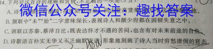 2024届全国高考分科调研模拟测试卷 老高考(五)/语文