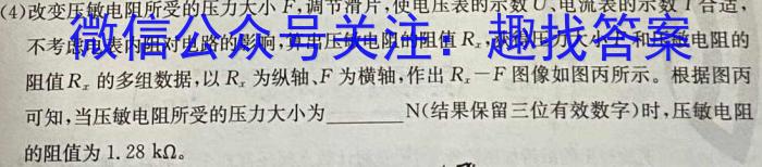 2023-2024年山东省青岛市九年级月考质检q物理