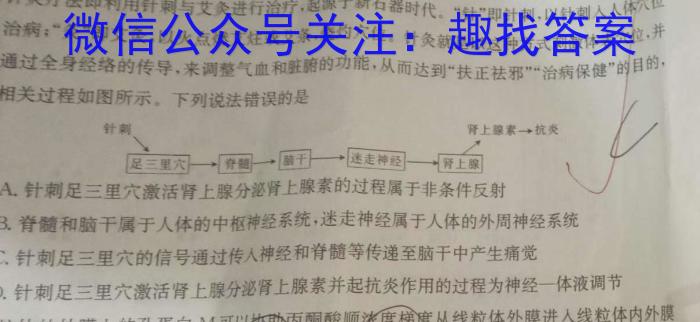 山西省2023~2024高三第一次联考(月考)试卷(XGK)生物试卷答案