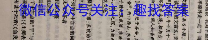 2023年八桂智学9月高三新高考联考/语文