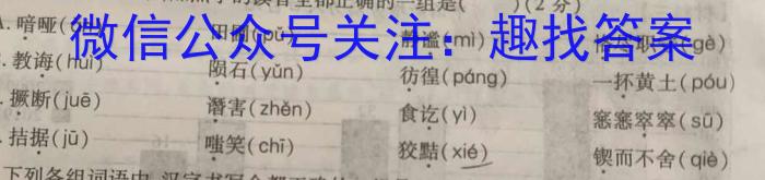 [南充零诊]2024届高考适应性考试(零诊)/语文