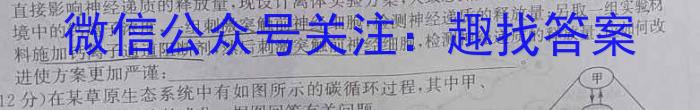 [泉州一检]泉州市2024届高中毕业班质量监测(一)1生物试卷答案