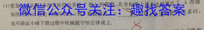 安徽省2024届九年级阶段评估1L R(一)物理.