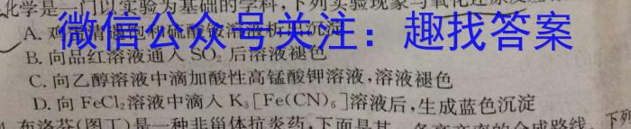 q2024湖北部分名校新高考协作体高三起点考化学