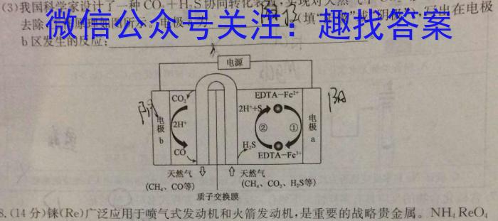 q邯郸市2024届高三年级第一次调研监测化学