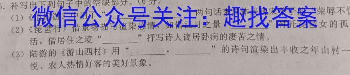 2023学年第一学期浙江省七彩阳光新高考研究联盟返校联考语文