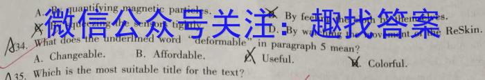 吉林省辉南县2023-2024高三上学期第一次半月考英语