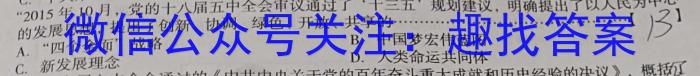 山西省吕梁市中阳县2022-2023学年八年级下学期期末质量检测试题(23-CZ232b)历史