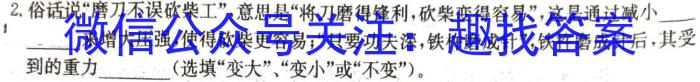 河南省2024届高三年级8月联考z物理
