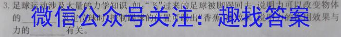 陕西省2024届高三年级8月联考（★）l物理